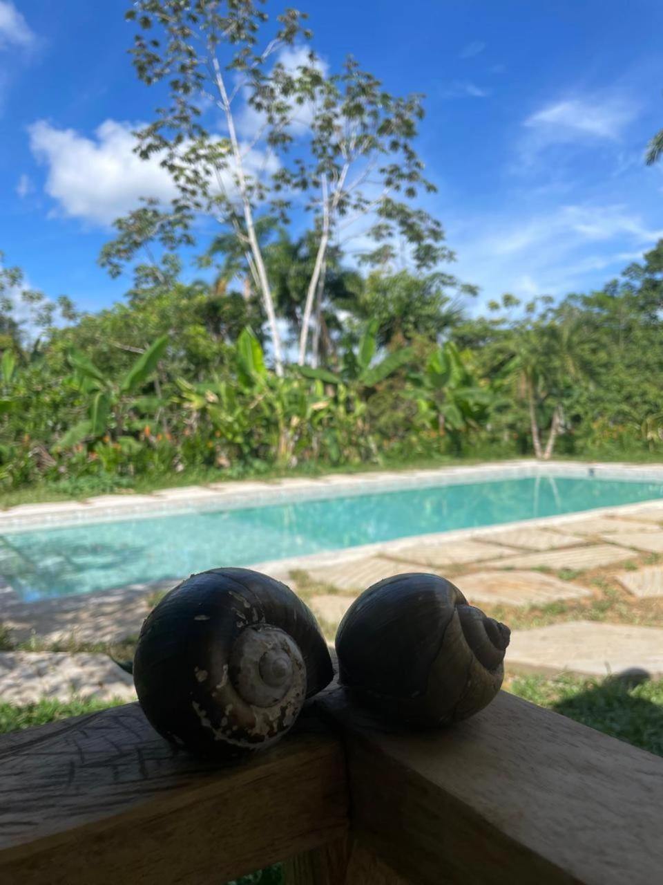 Purachata Ecolodge Икитос Экстерьер фото