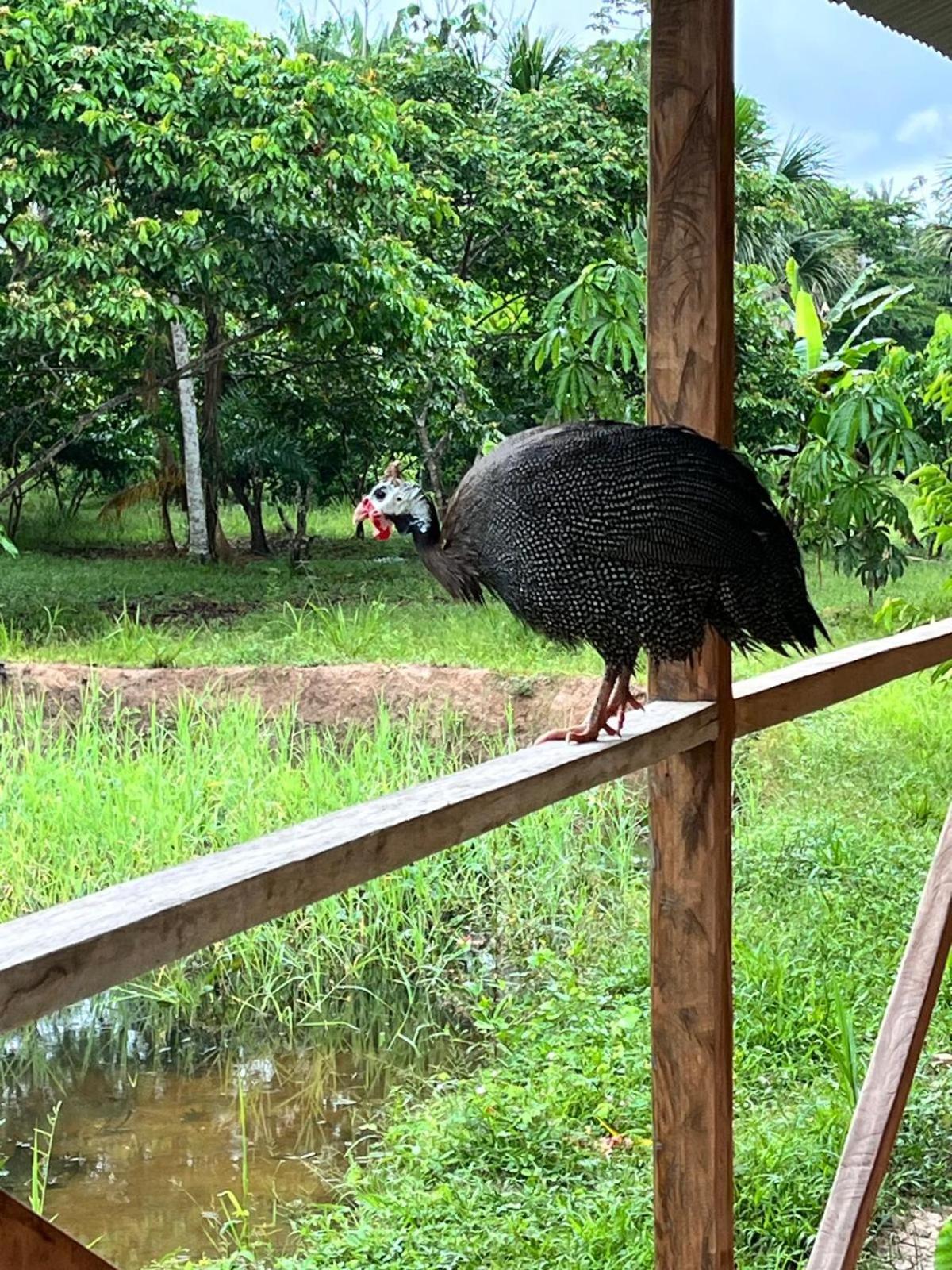 Purachata Ecolodge Икитос Экстерьер фото