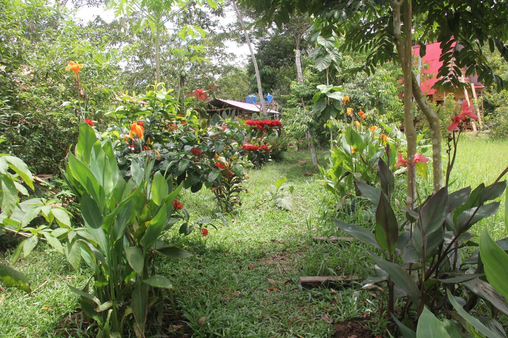 Purachata Ecolodge Икитос Экстерьер фото